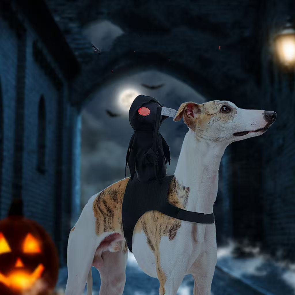 Pet Knight Harvest Funny Cute Riding Outfit