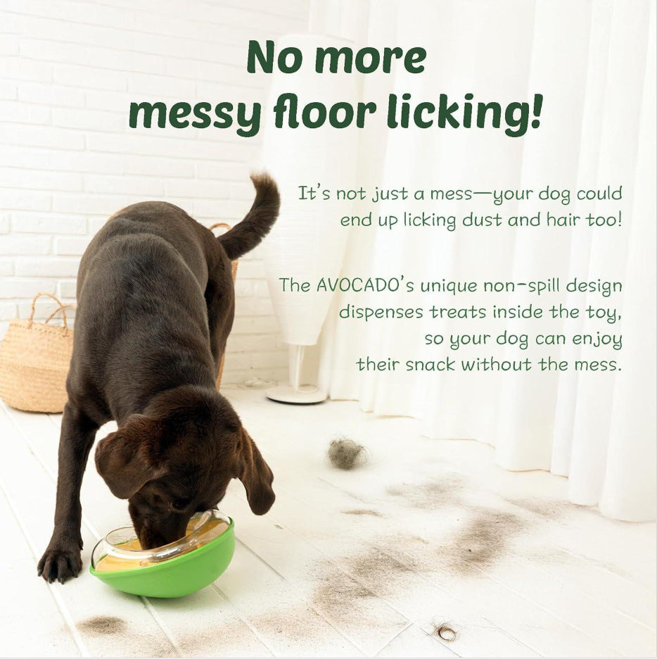 Anti-tumble Avocado Pet Feeding Bowl