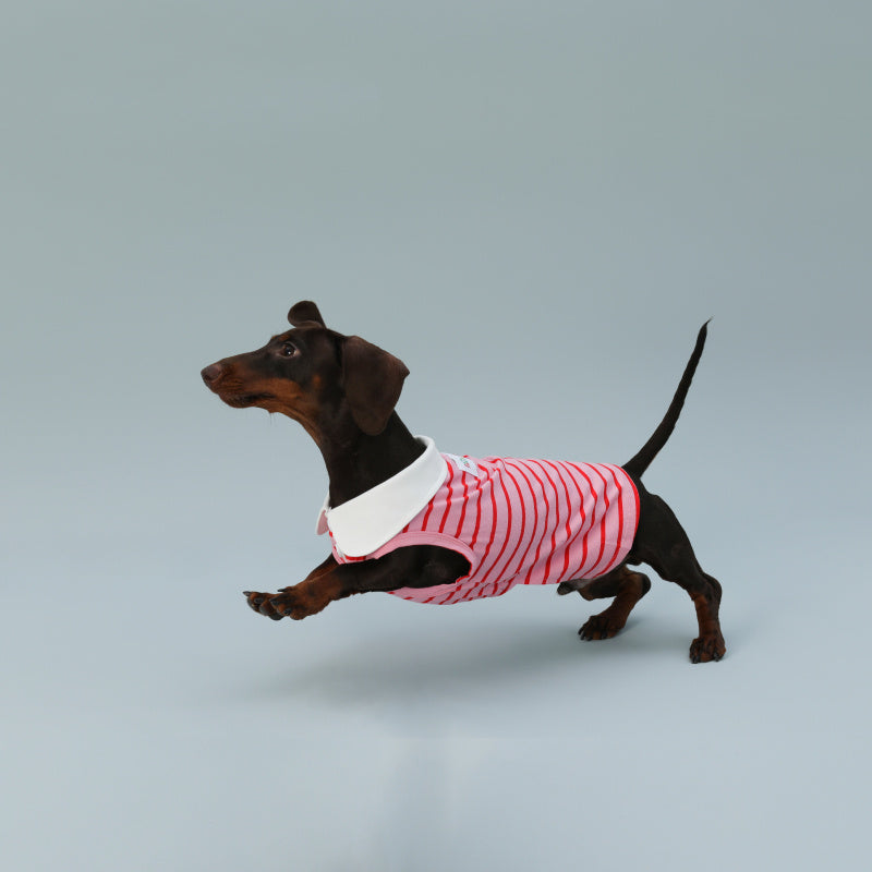 Dog Vest Sleeveless Red Striped Small Dog Schnauzer Sausage