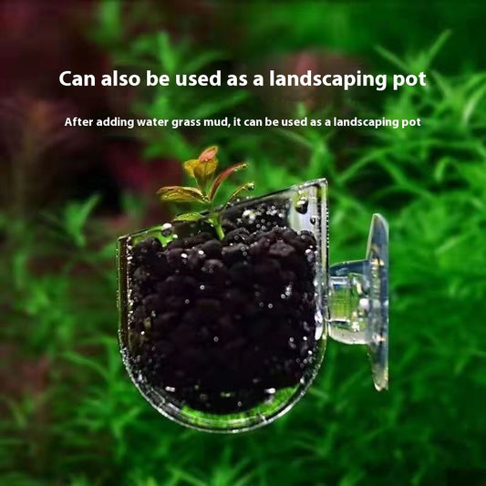 High Transparent Feeding Landscape Cup For Fish Tank
