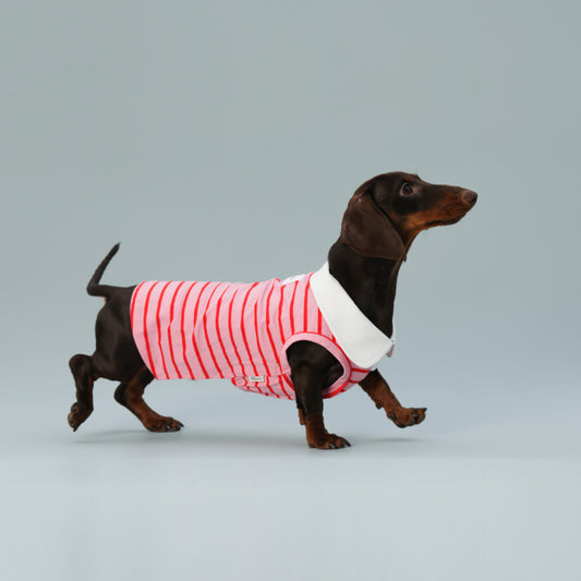 Dog Vest Sleeveless Red Striped Small Dog Schnauzer Sausage
